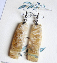 Natural Ocean Jasper Stone Earrings (Limited Edition)